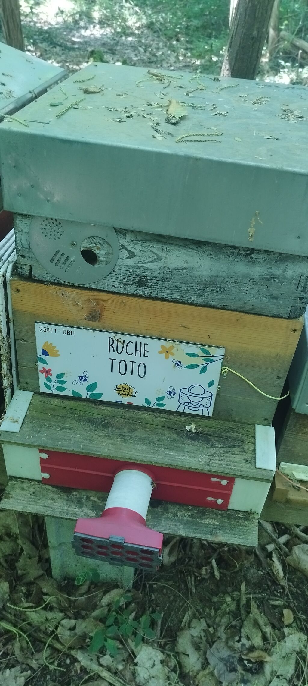 La ruche Toto