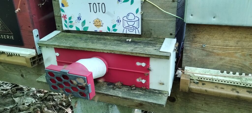 La ruche Toto