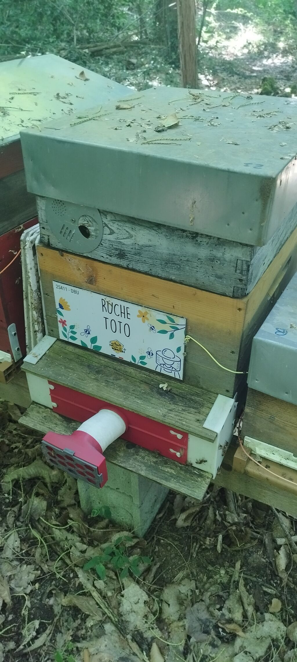 La ruche Toto