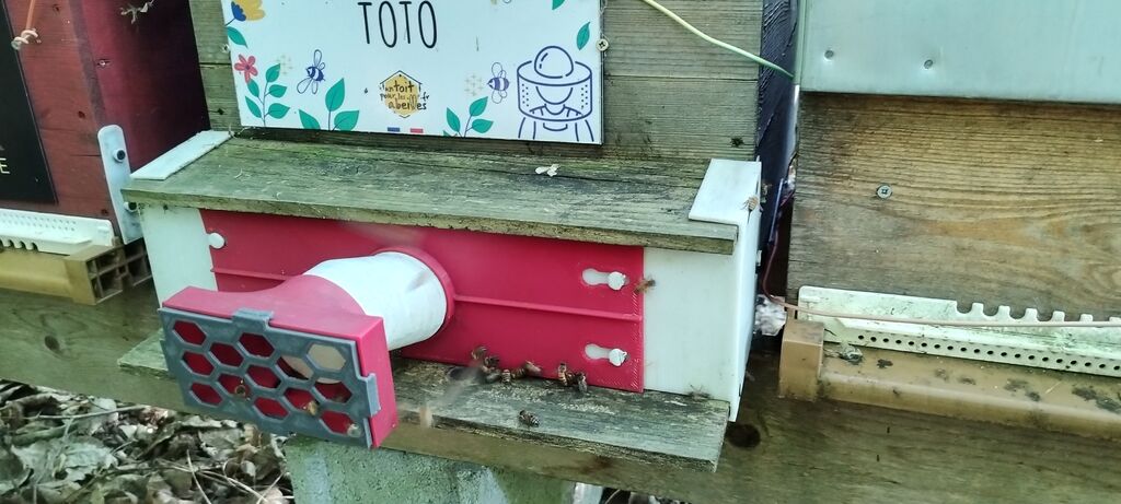 La ruche Toto