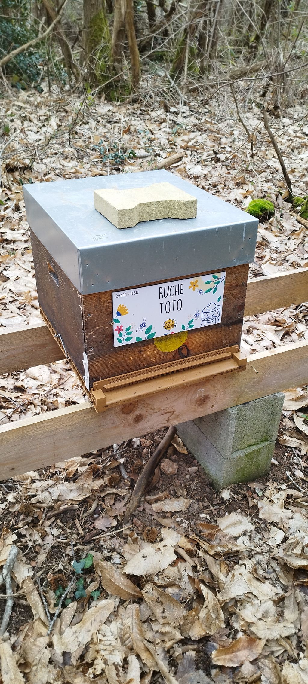 La ruche Toto