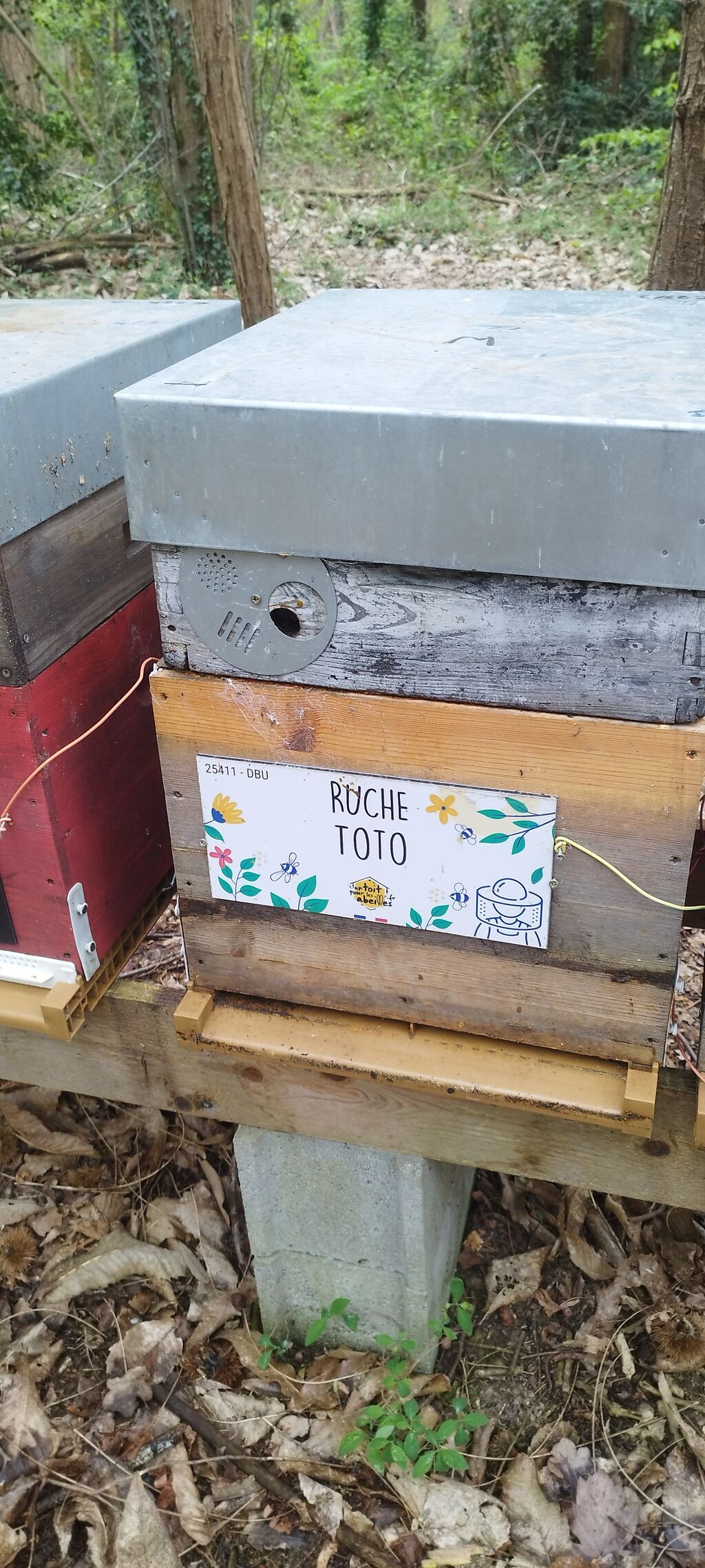 La ruche Toto