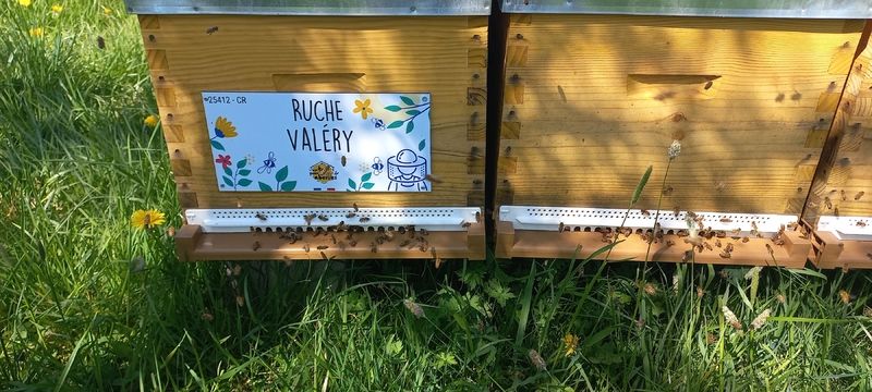 La ruche Valéry
