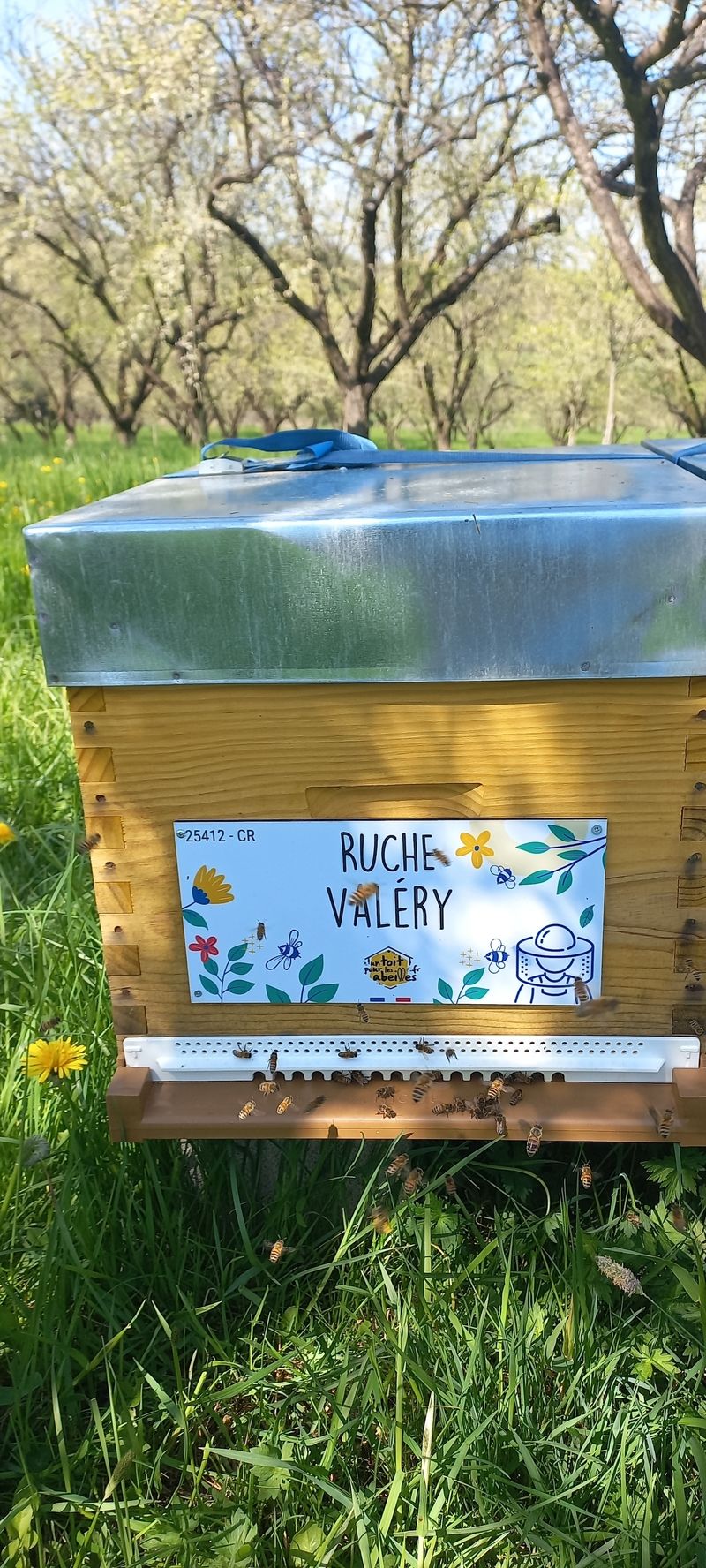 La ruche Valéry