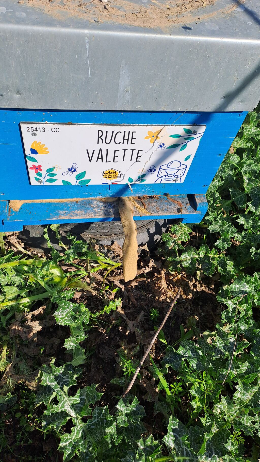 La ruche Valette