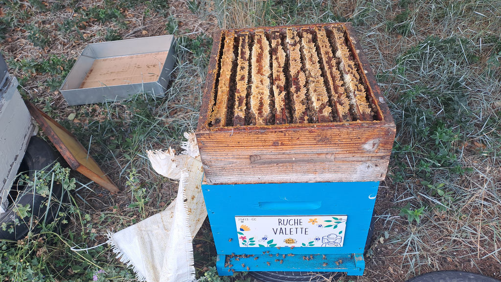 La ruche Valette