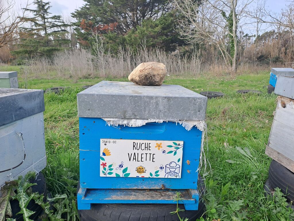 La ruche Valette