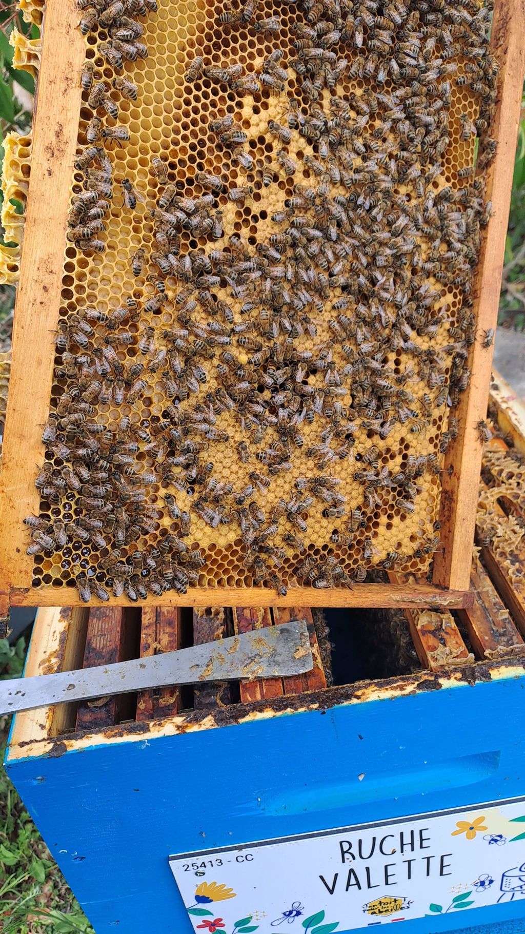 La ruche Valette