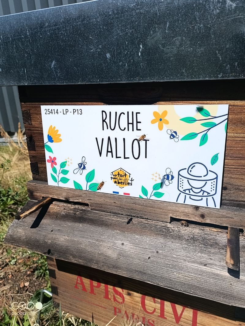 La ruche