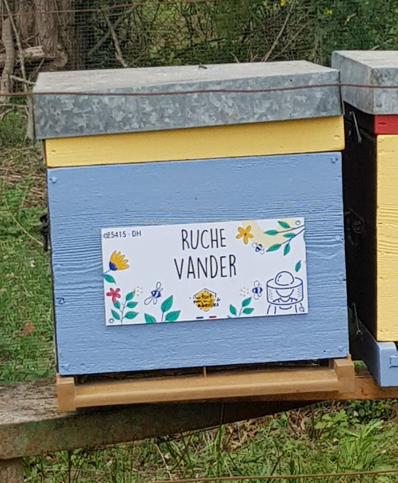 La ruche Vander