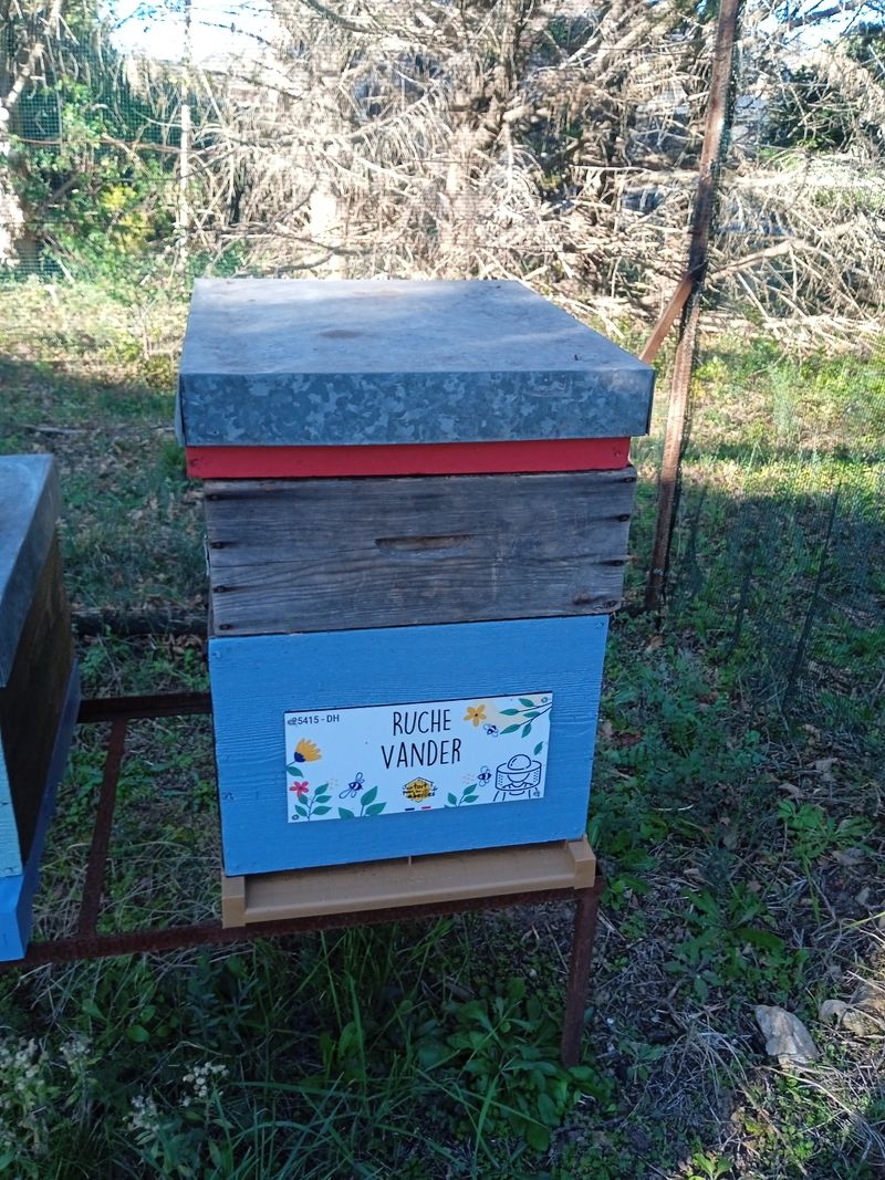 La ruche Vander