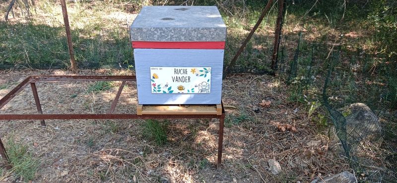 La ruche Vander