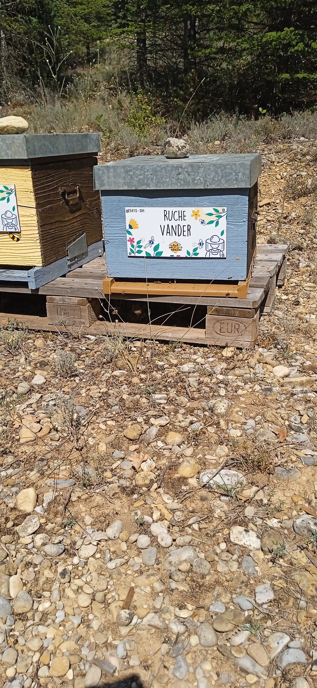 La ruche Vander