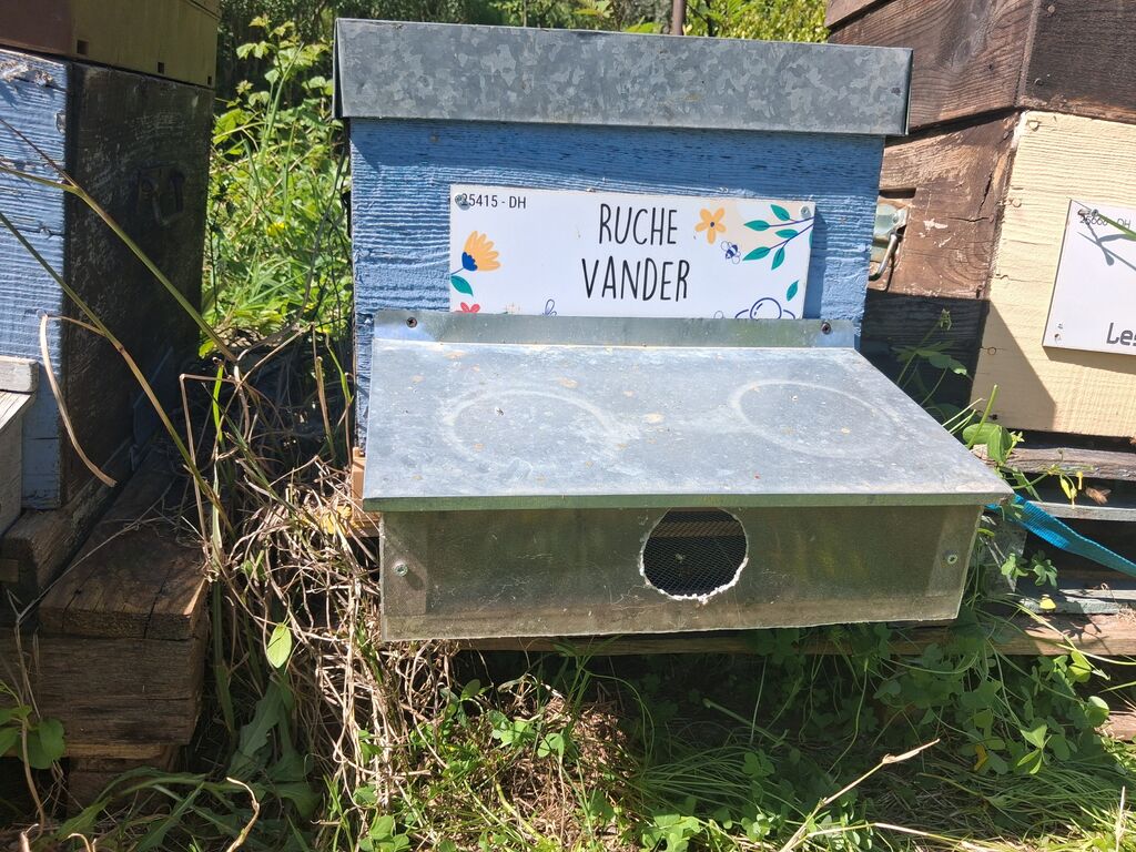 La ruche Vander