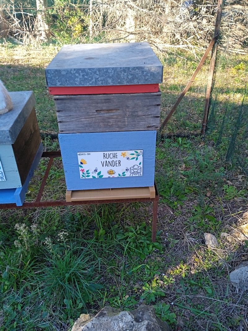 La ruche Vander