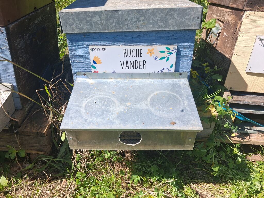 La ruche Vander