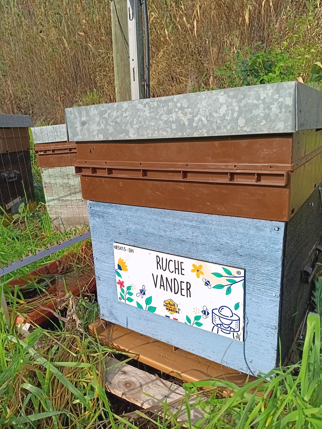 La ruche Vander