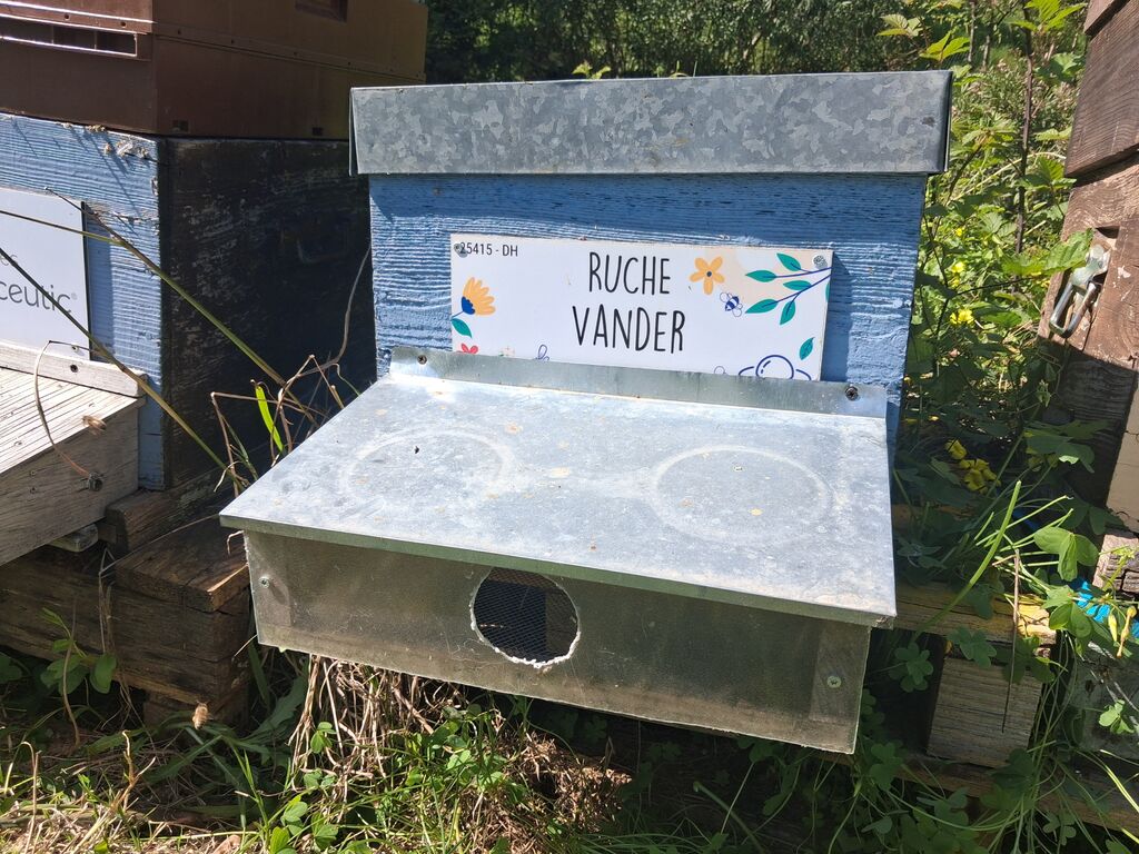 La ruche Vander