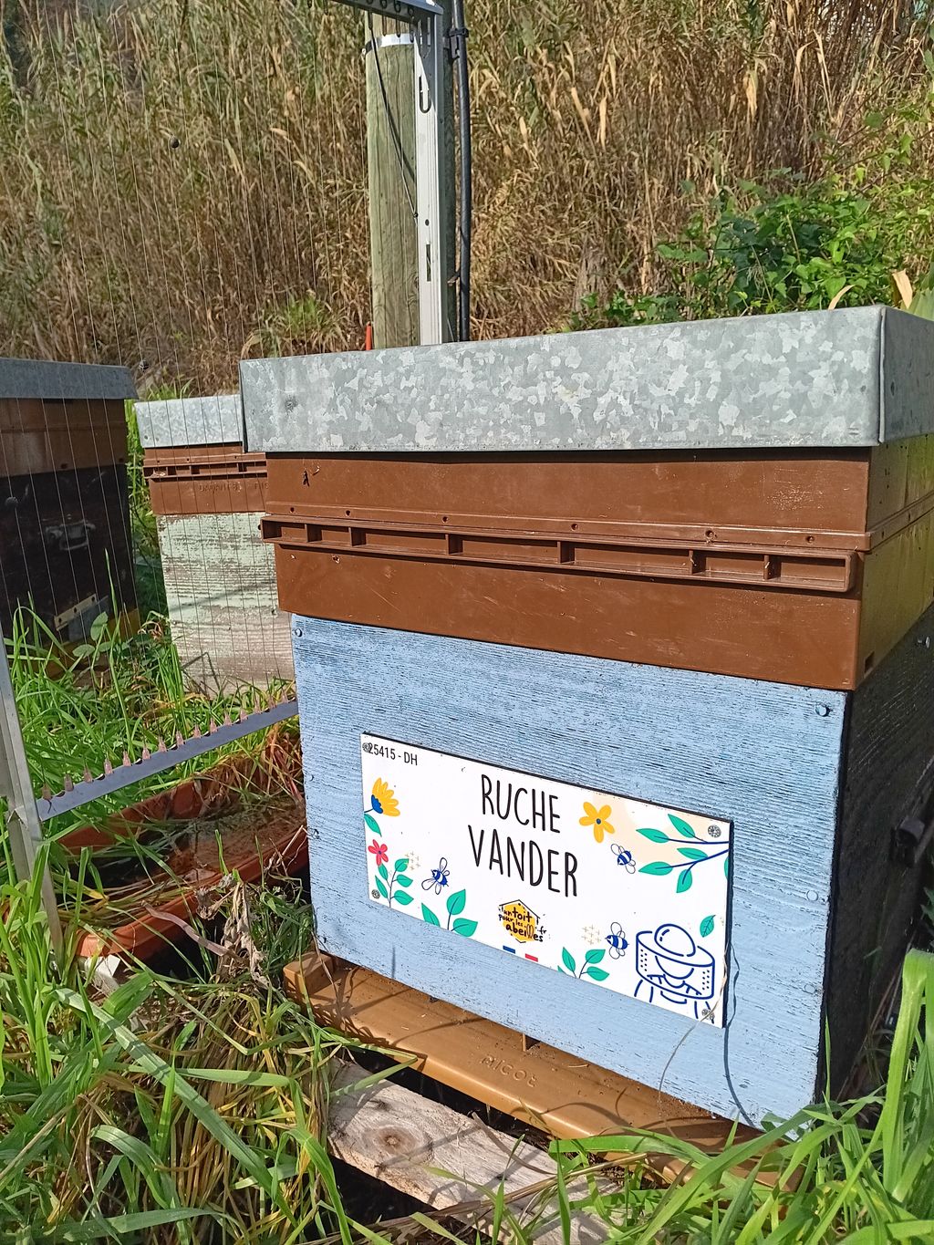 La ruche Vander