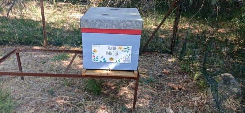 La ruche Vander