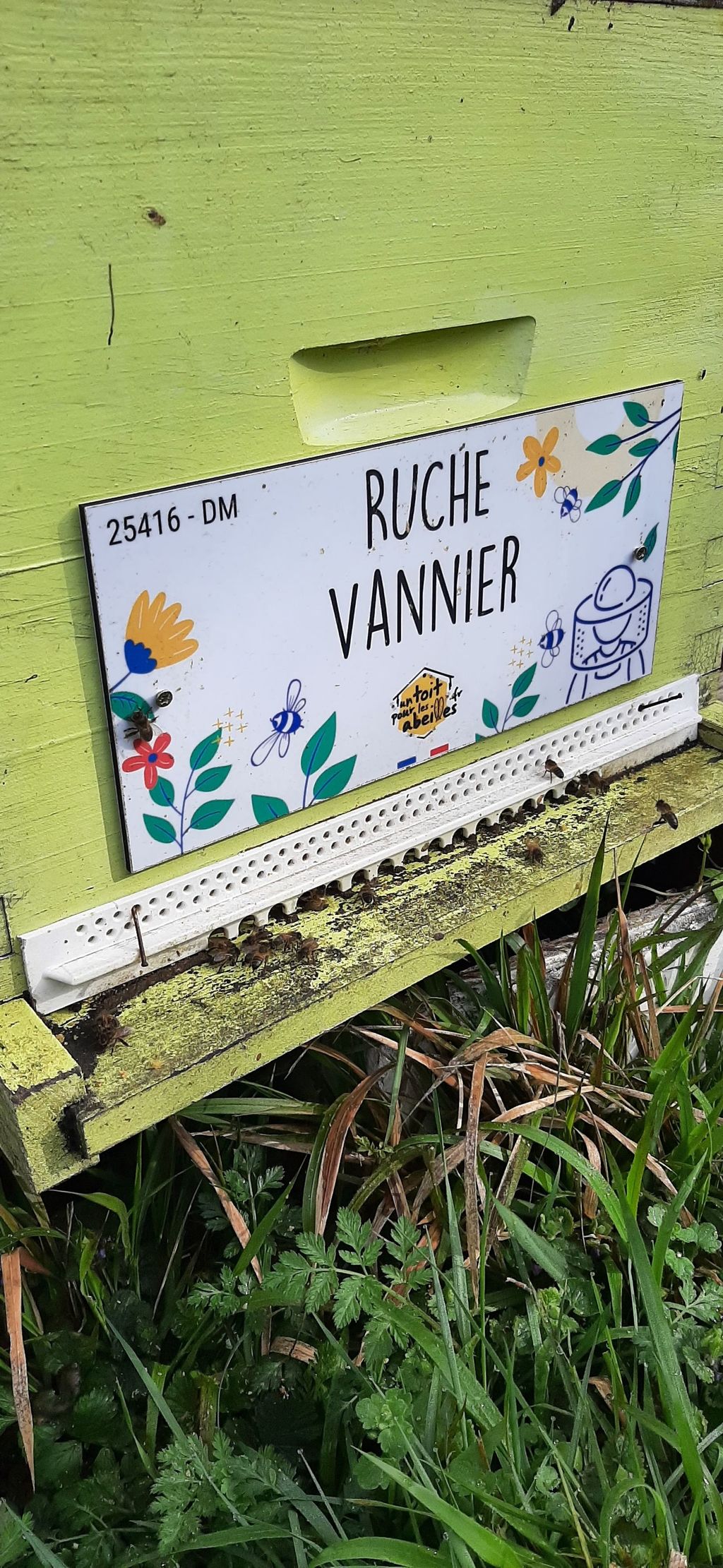 La ruche Vannier