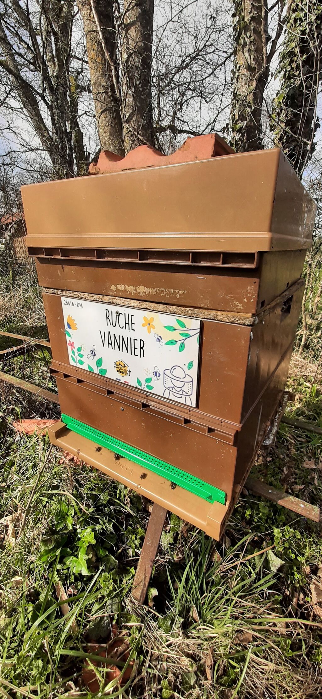 La ruche Vannier