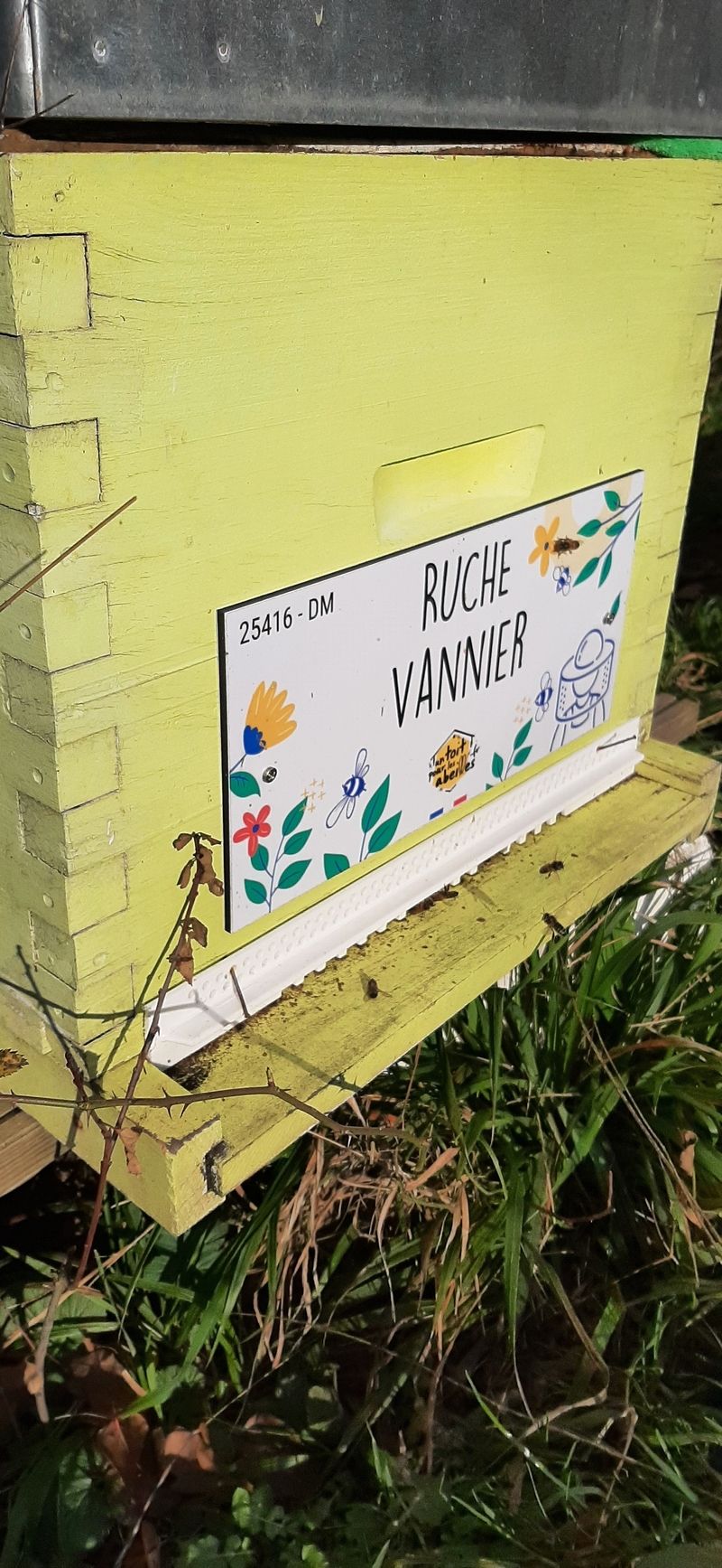 La ruche Vannier