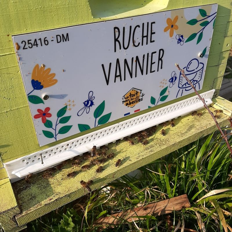 La ruche Vannier