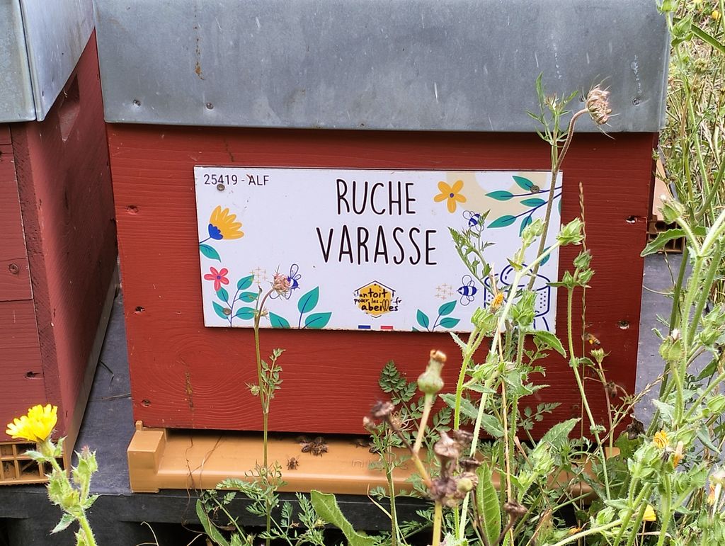 La ruche Varasse