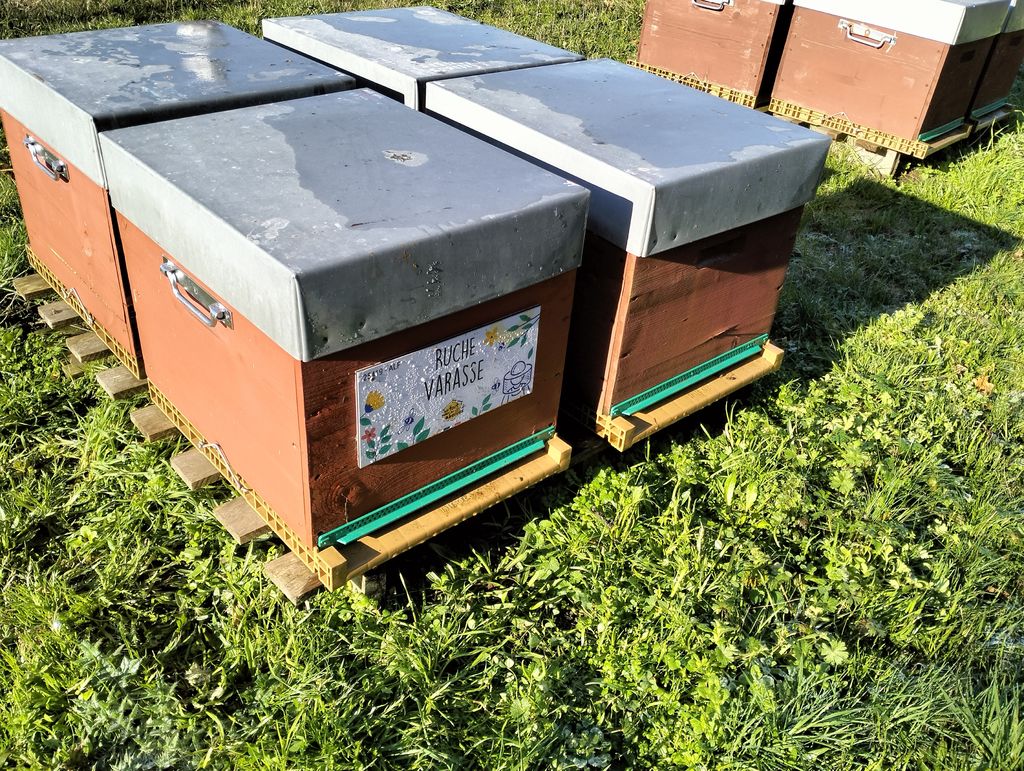 La ruche Varasse