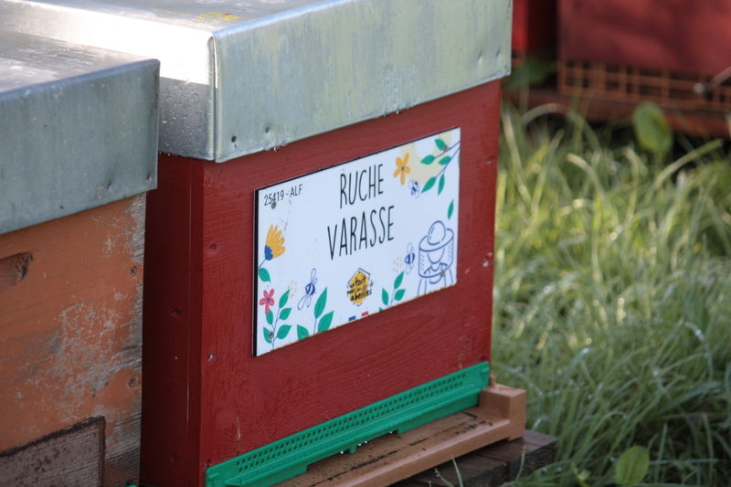 La ruche Varasse