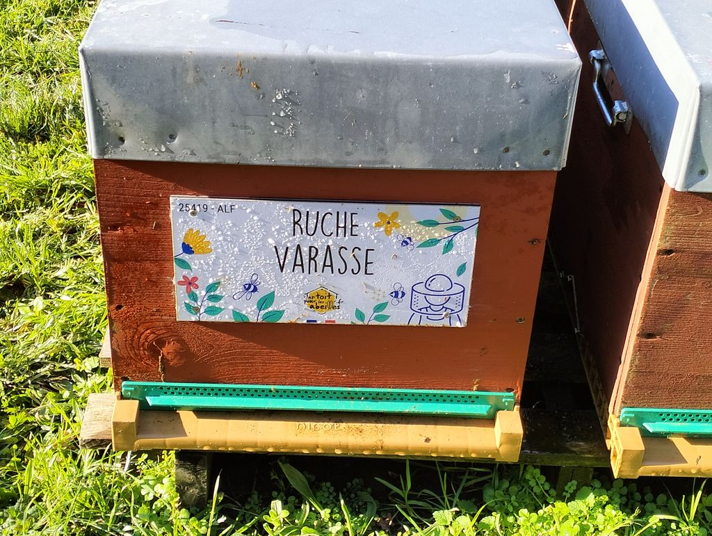 La ruche Varasse