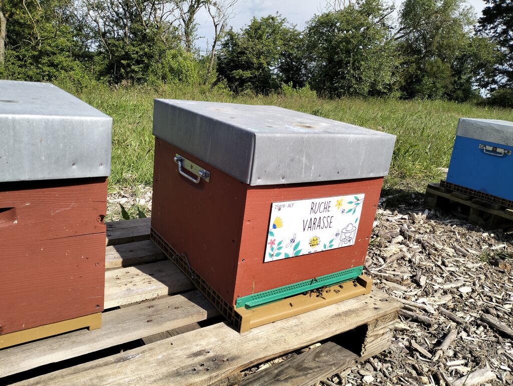 La ruche Varasse