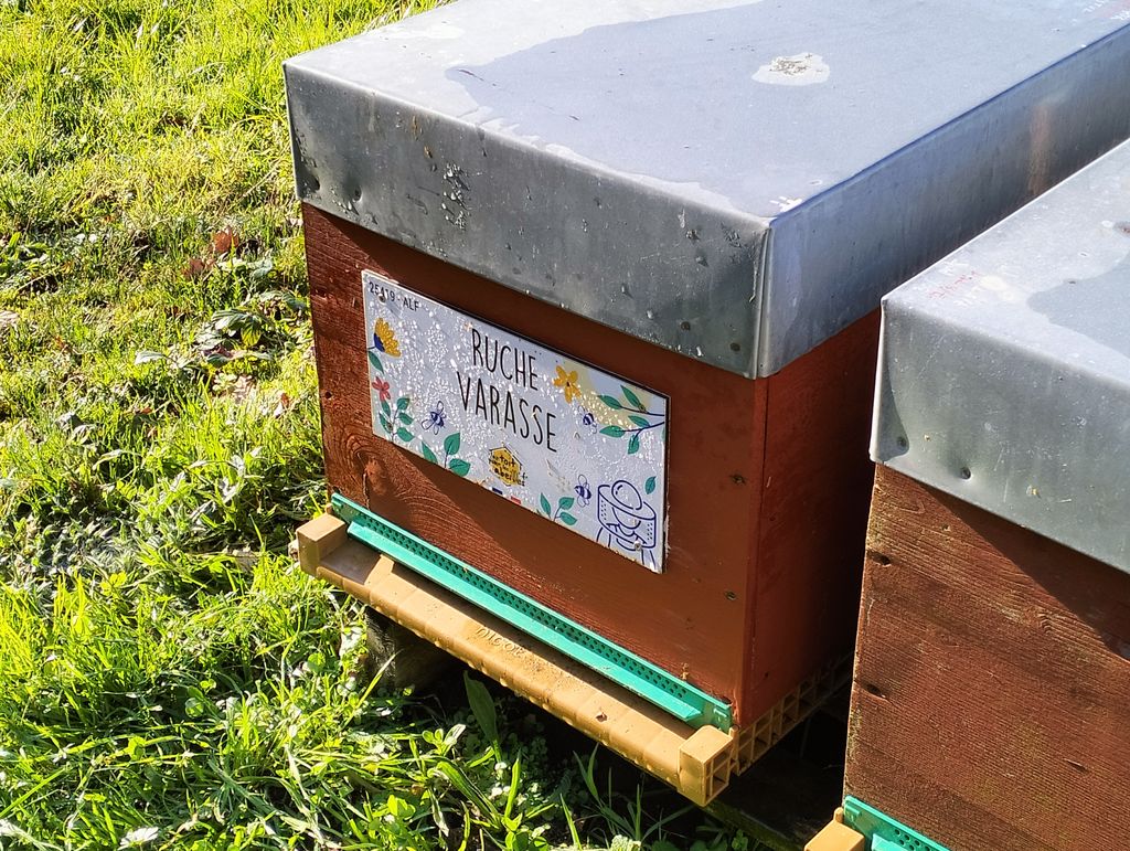 La ruche Varasse
