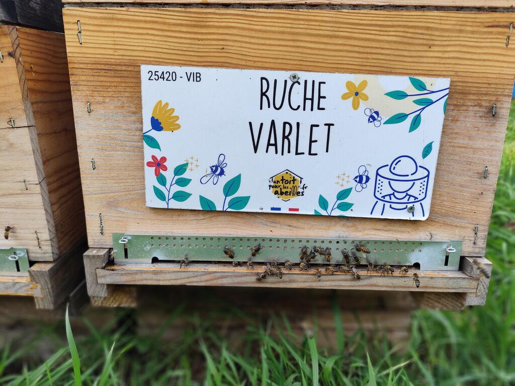 La ruche Varlet