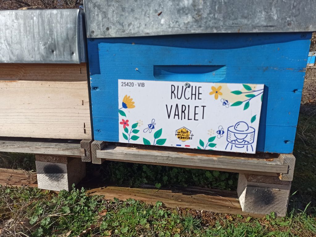 La ruche Varlet