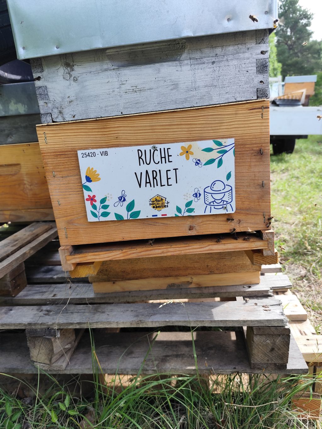 La ruche Varlet