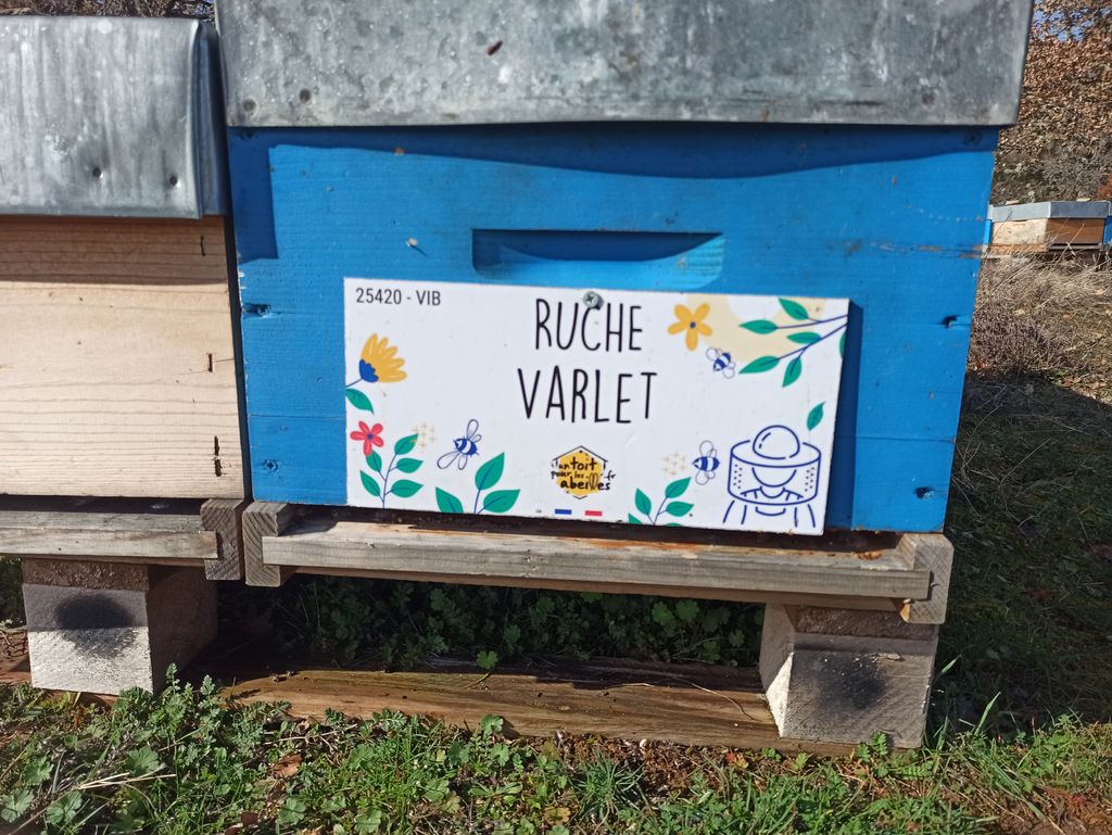 La ruche Varlet