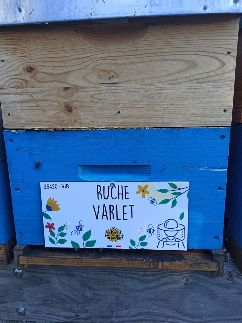 La ruche Varlet