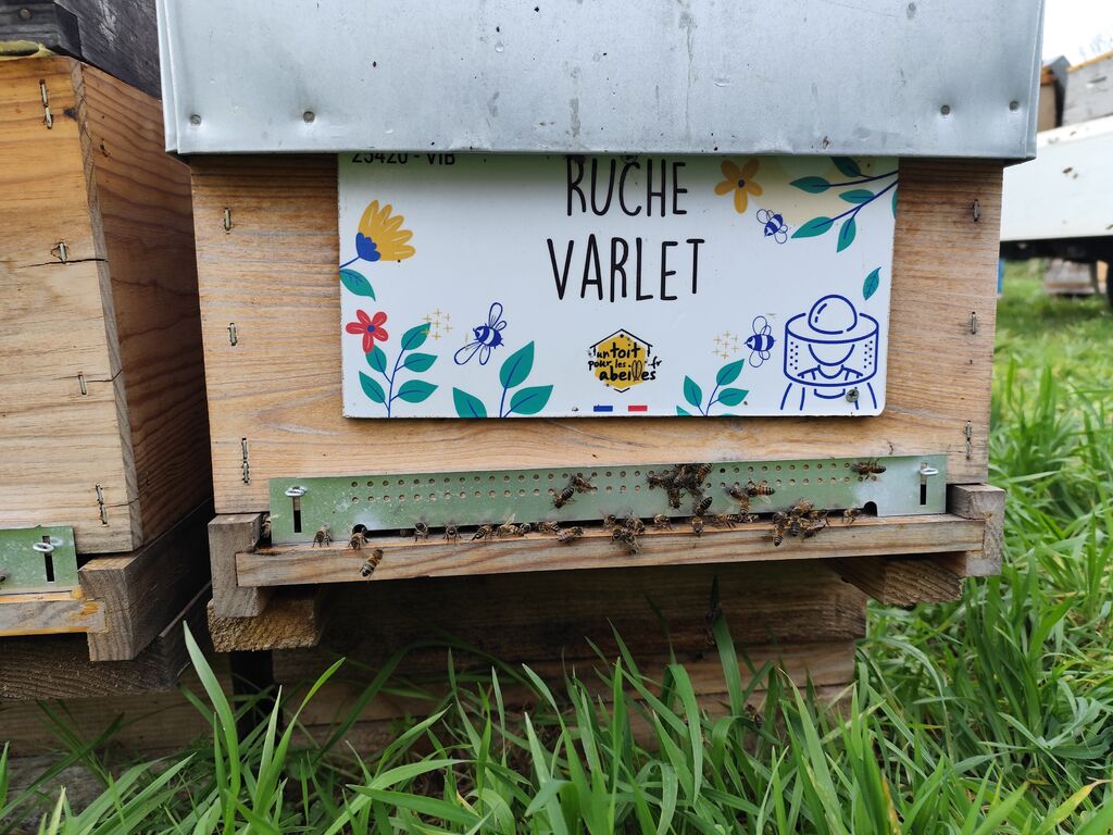 La ruche Varlet