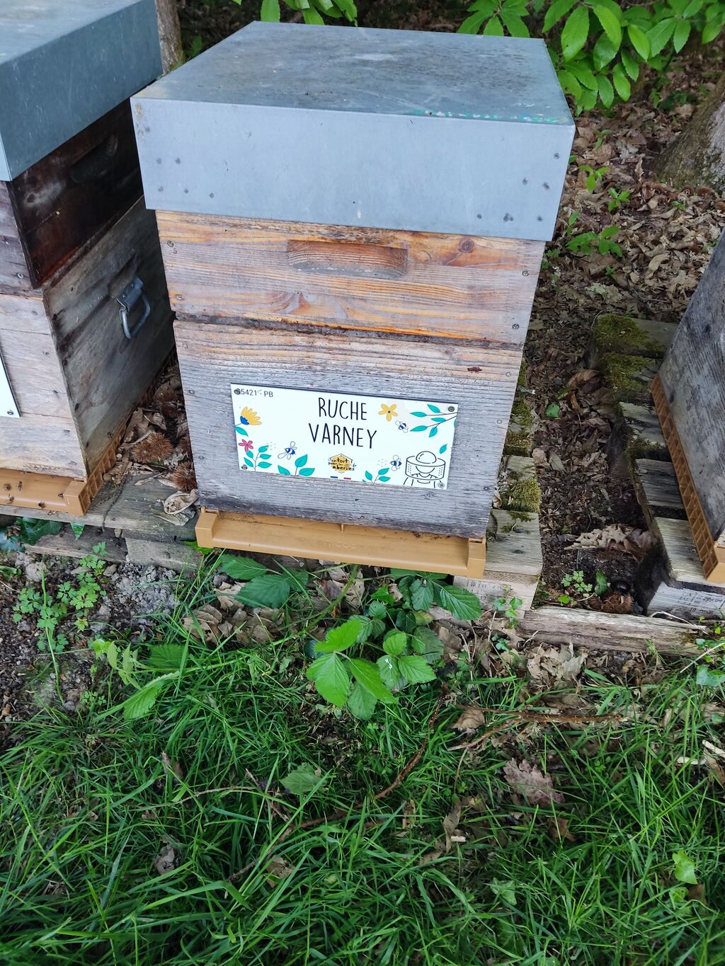 La ruche Varney