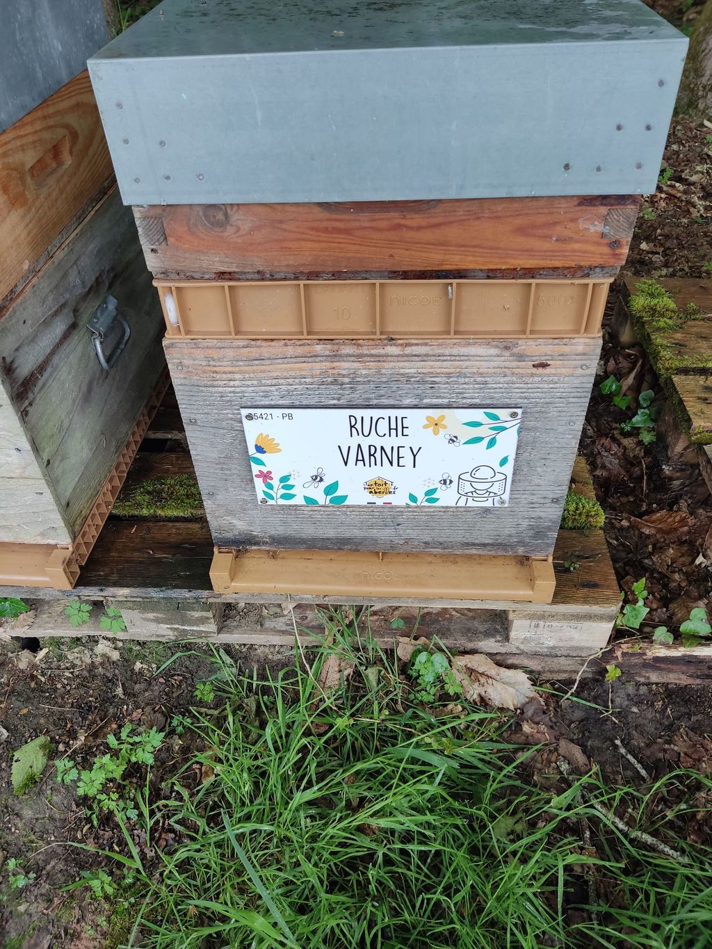 La ruche Varney