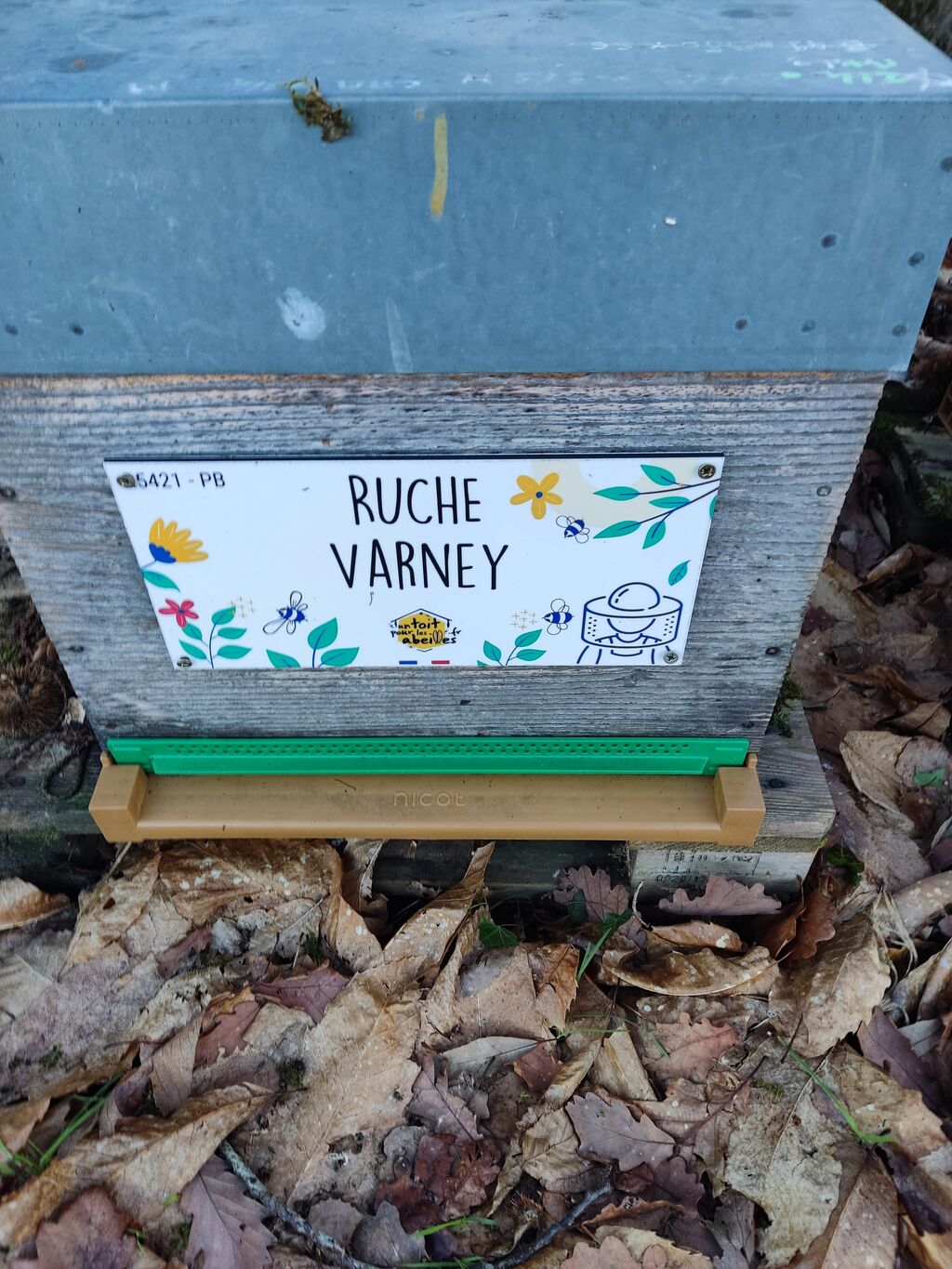 La ruche Varney
