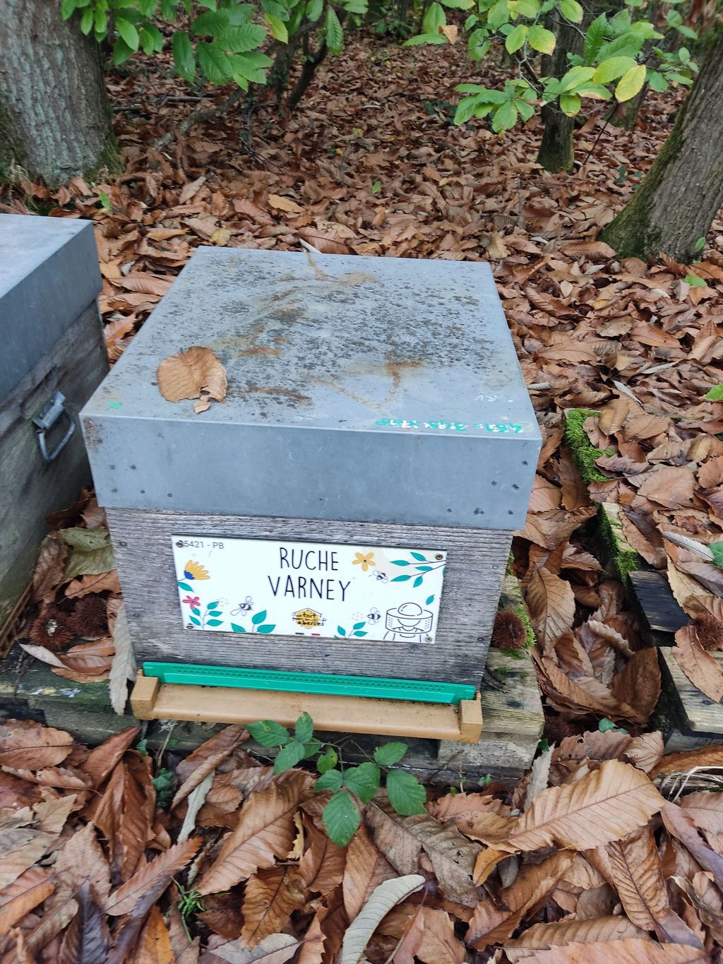 La ruche Varney