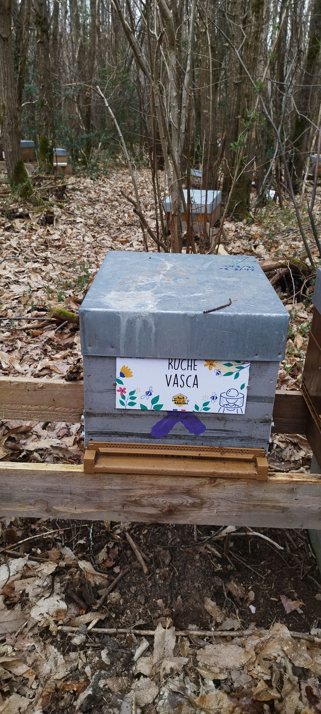 La ruche Vasca