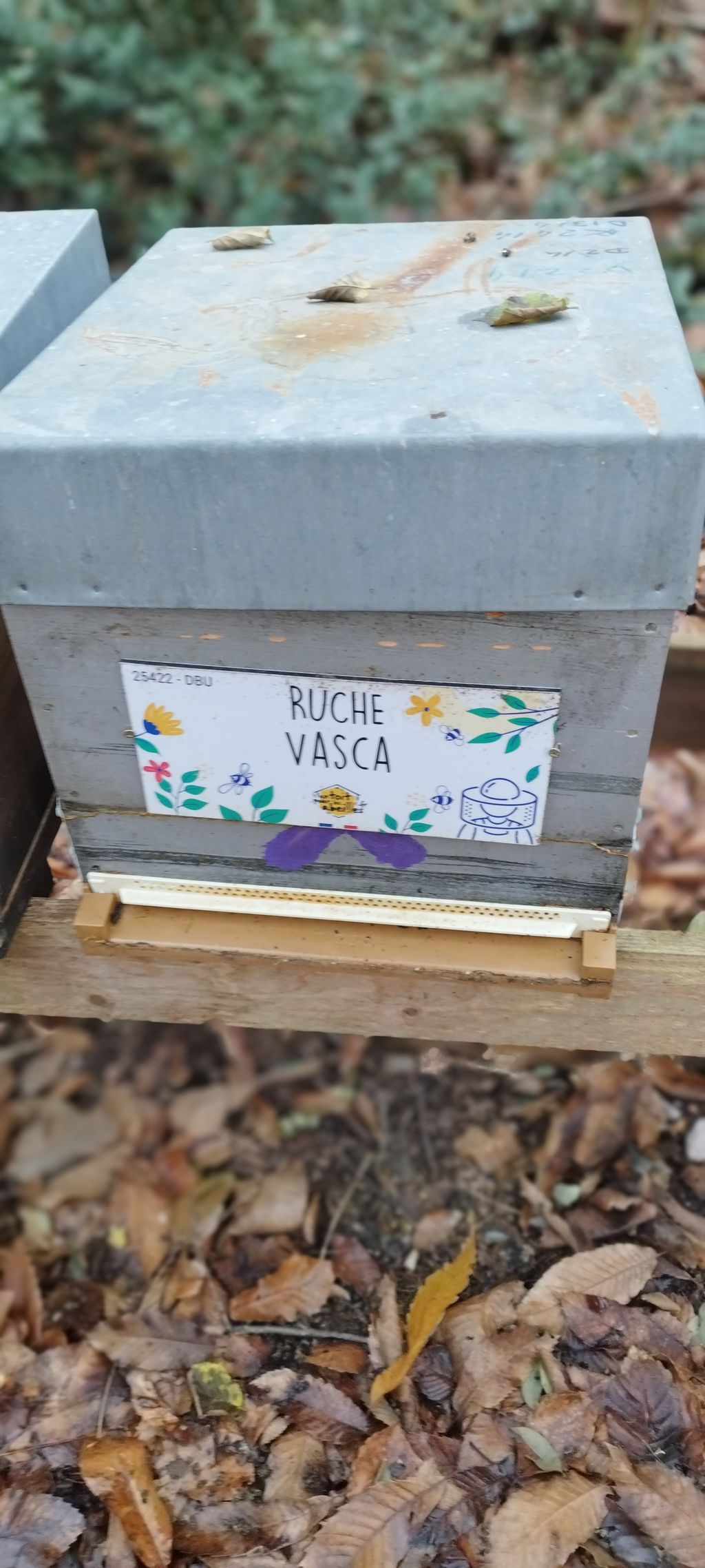 La ruche Vasca