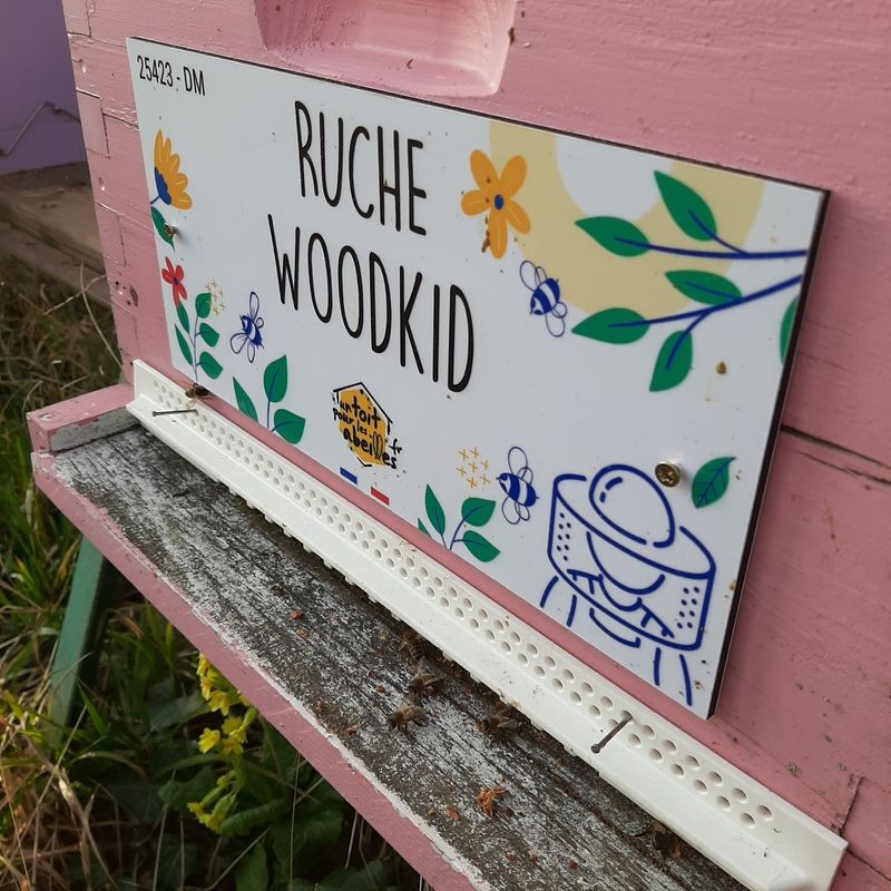 La ruche Woodkid