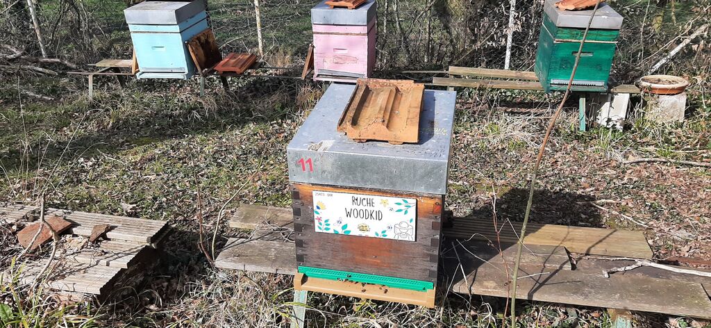 La ruche Woodkid