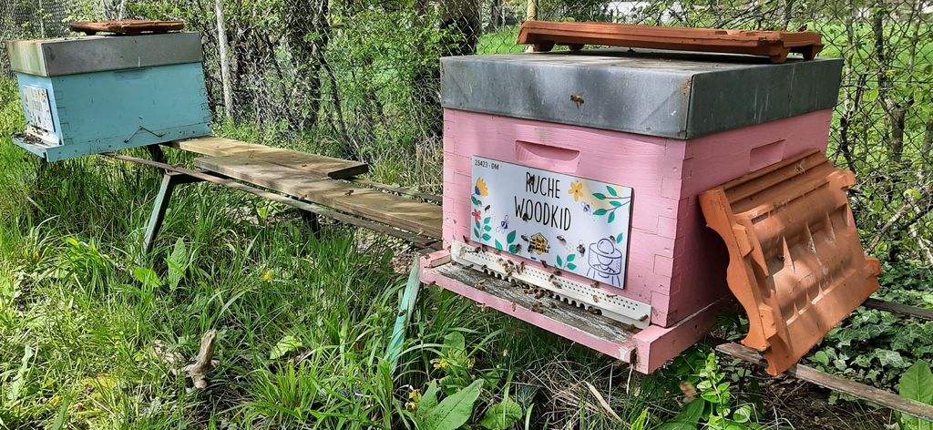 La ruche Woodkid