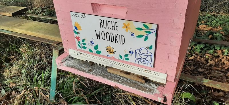 La ruche Woodkid